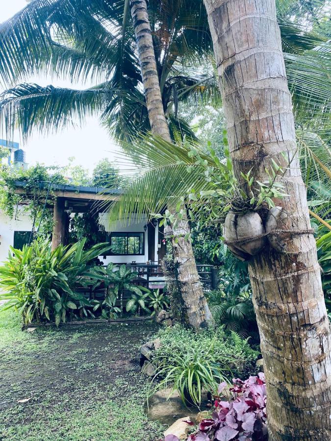 Nature Villa Unawatuna Galketiya Kültér fotó
