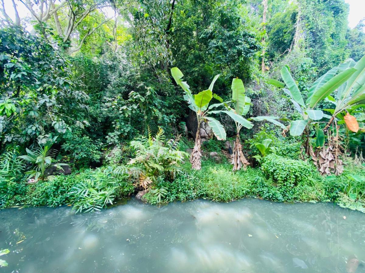 Nature Villa Unawatuna Galketiya Kültér fotó