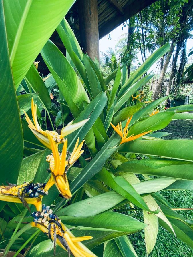 Nature Villa Unawatuna Galketiya Kültér fotó